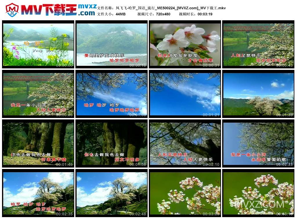 凤飞飞-哈罗_国语_流行_ME500224